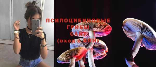 гидра Покачи
