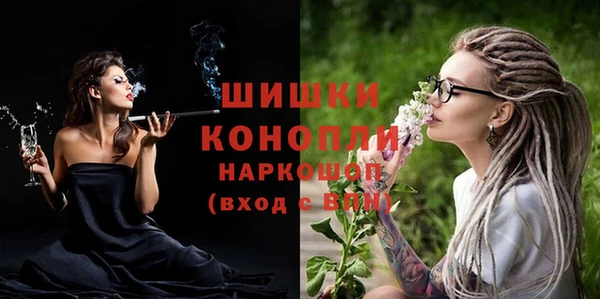 гидра Покачи