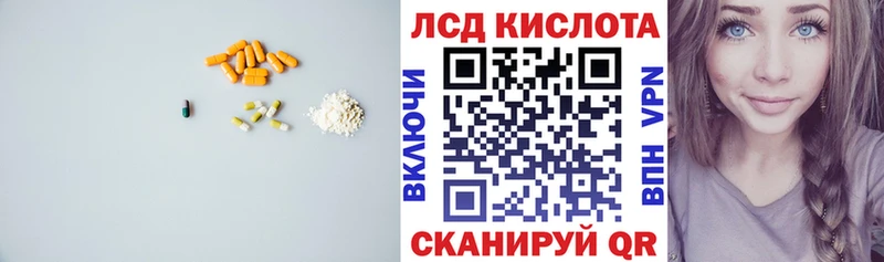 darknet клад  Кондопога  ЛСД экстази ecstasy 