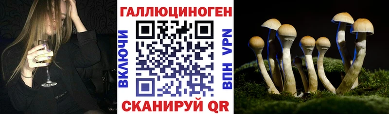 Псилоцибиновые грибы мицелий  OMG рабочий сайт  Кондопога 