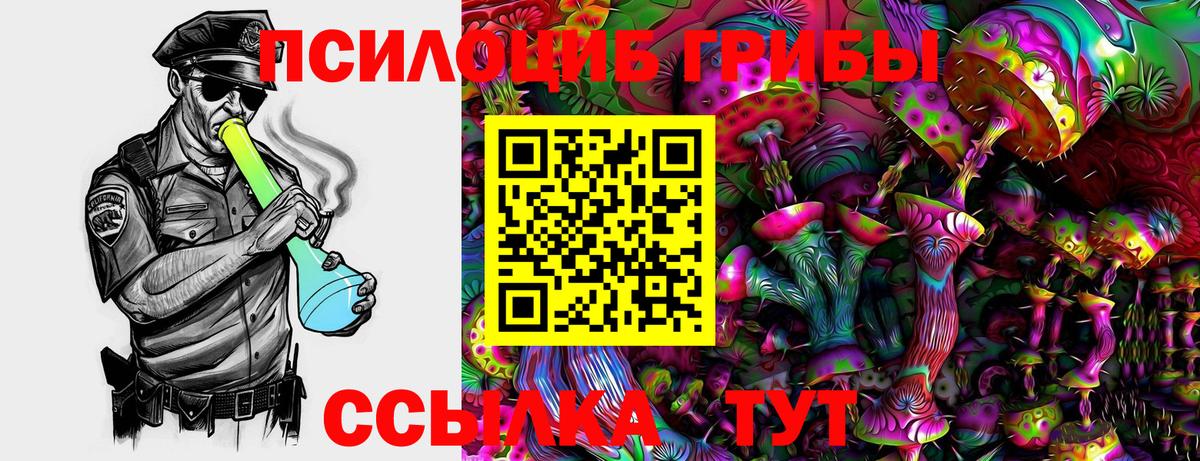 Псилоцибиновые грибы Psilocybe  Вход с VPN  Кондопога 